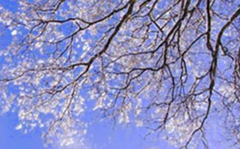 ���õĶ����ͯԒ���ģ�ͨ��27ƪ��