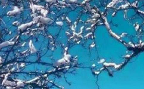 �y���Ķ����һ�W(xu��)������