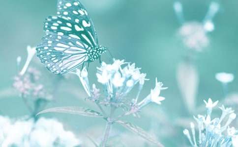 �^���(d��ng)ֲ�������800��