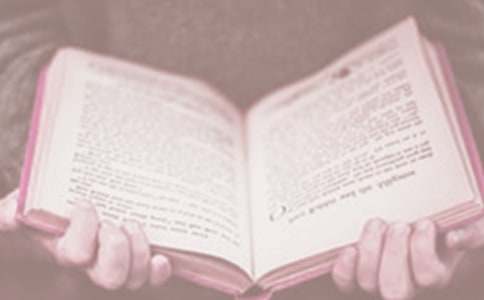 世界讀書(shū)日活動(dòng)方案(通用15篇)