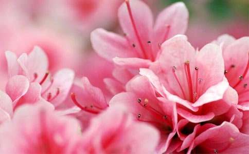 �����x�����N��������ƪ