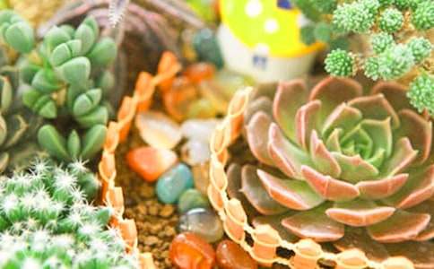 ����Ķ����~������