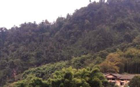 ����üɽ�¸衷�̌W(xu��)�O(sh��)Ӌ(j��)