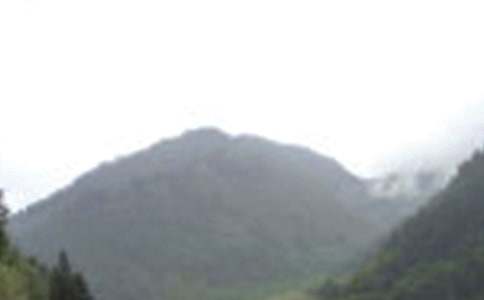 游峨眉山的作文450字