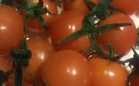 �����ѳ�������