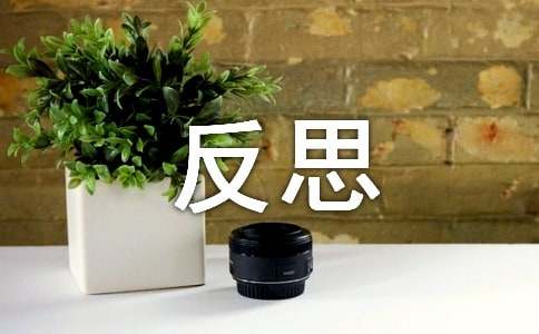 作文:反思
