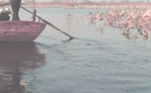 泛舟西湖作文(通用4篇)