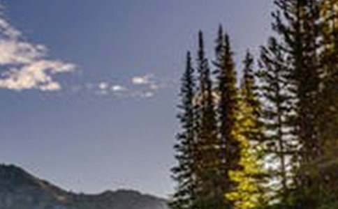 有關(guān)風(fēng)景大連作文合集9篇