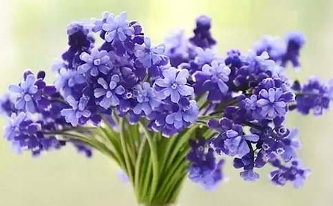 �Һ��L(f��ng)���ӳ�һ����