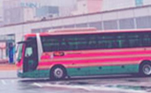 第一次獨(dú)自乘坐公共汽車作文