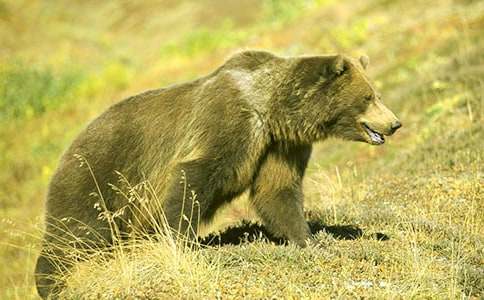 �����u�����ģ����x10ƪ��