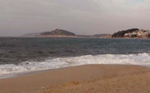 小學(xué)游記作文:鼓浪嶼游記