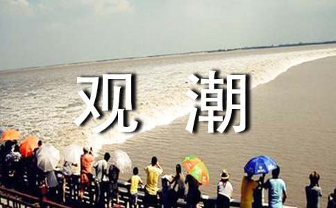 觀潮作文600字九篇