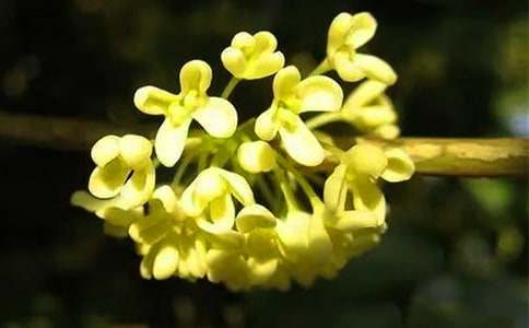 ���X���еĹ������ģ�ͨ��15ƪ��