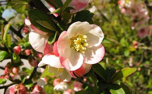 �^�캣�Ļ�����