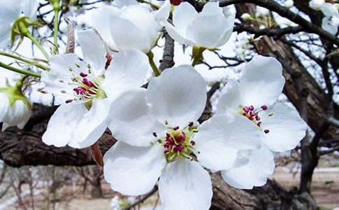 �P(gu��n)�ں��Ļ�����