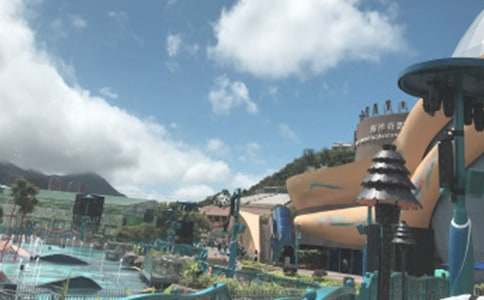 參觀(guān)極地海洋公園優(yōu)秀作文