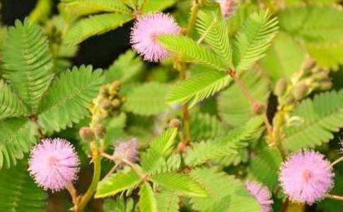 �茑���߲�350�����ģ����x63ƪ��