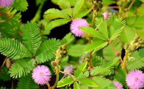 �茑(xi��)���߲�����600�֣����x20ƪ��