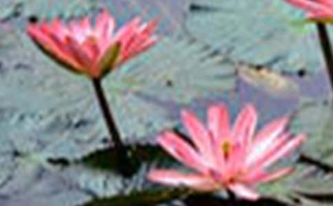 ��B�ɻ�������200��