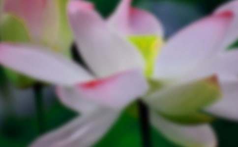 �^��ɻ����꼉����