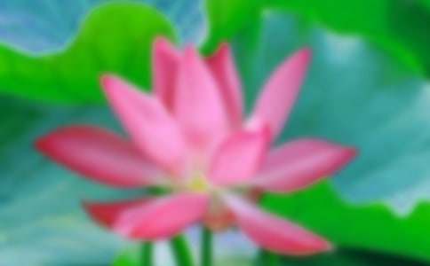 ������־�����ĺɻ�