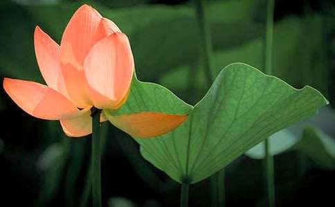 ����(y��u)�������ģ�����Ԋ(sh��)��ɻ�