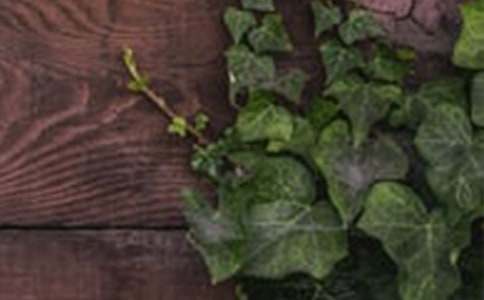 ���C֮�������ڻ�������