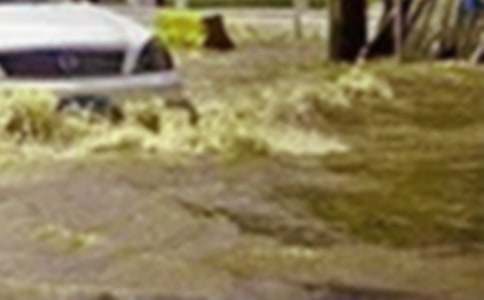 【推薦】洪水作文300字21篇