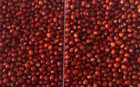 精選紅豆作文300字八篇