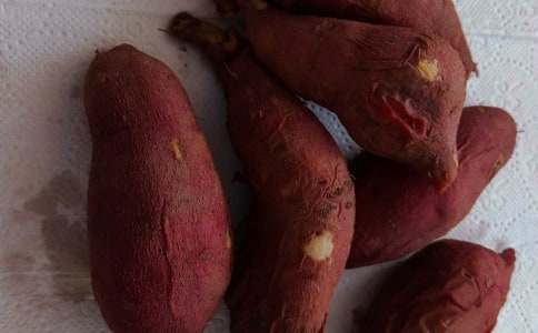 �Ϡ���?sh��)ļt������