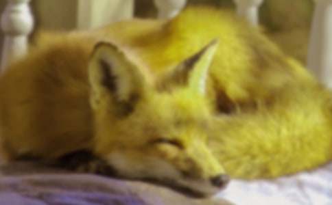 ��؂�͞��f