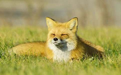 �P(gu��n)�ں�؂��Ԣ��ͯԒ����