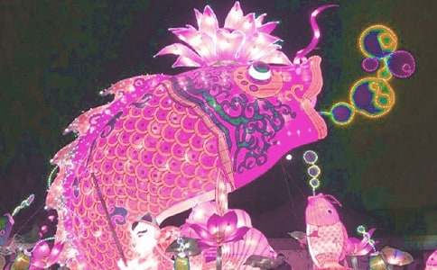 ����������С�W(xu��)��(y��u)���f����