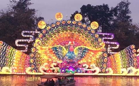 看荷花燈的作文