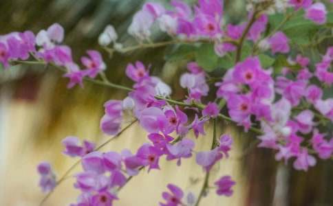 ӛ���еĻ����_(k��i)ʼ�`������