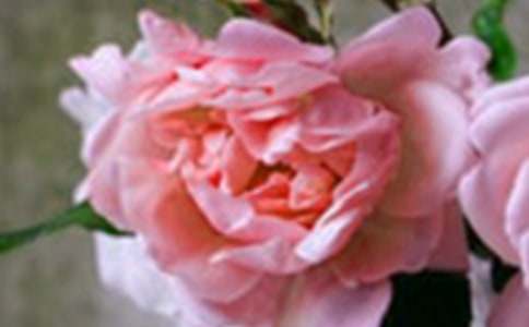 ׌��(m��ng)���_(k��i)����������