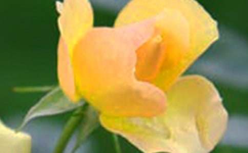 �����_��ӛ����̎�Ļ�������