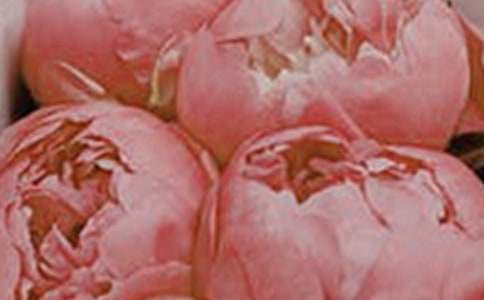 ӛ���еĻ�������9ƪ