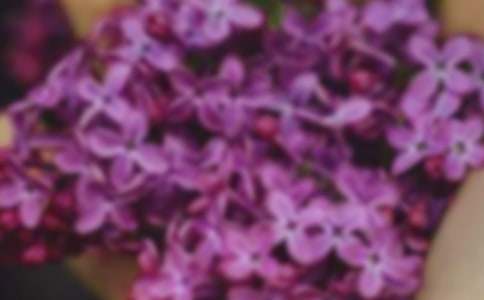 ӛ���еĻ�������10ƪ