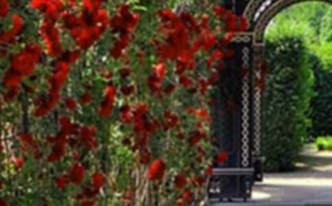 ���ƌW(xu��)��(y��u)��̰����̌W(xu��)��˼�������ӵĻ��@��