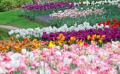 �y���Ļ��@������ӛ-ӛһ����������800��