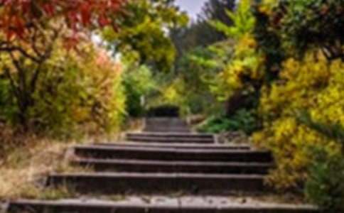 �����t���Ļ��@����800��