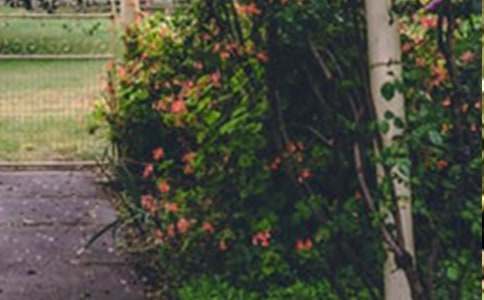 �����A�����@����600����ƪ