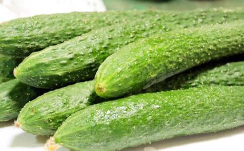 黃瓜作文600字6篇