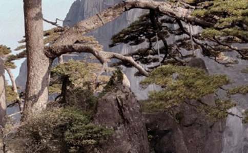 ���[�Sɽ����600��6ƪ