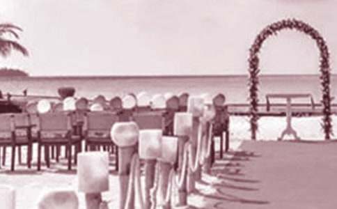 ��Y�I(l��ng)��(d��o)�R�~���x