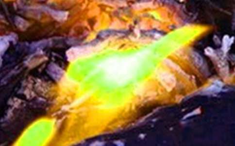 遠(yuǎn)離火災(zāi)珍愛(ài)生命作文(通用33篇)