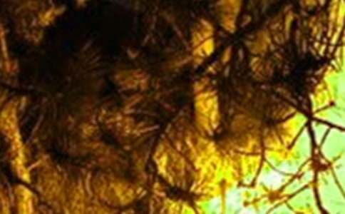 遠離火災珍愛生命作文匯編8篇