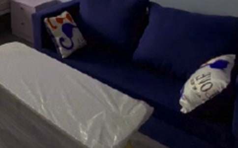 未來(lái)的家具小學(xué)生作文(精選22篇)